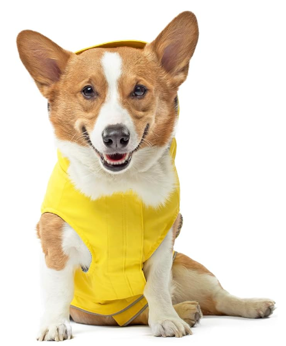 Canada Pooch Torrential Tracker - Yellow 12