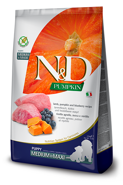 N&D Lamb Pumpkin Med/Max Puppy GF 26.4#