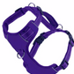 Baydog Chesapeake Harness Purple Rain Small