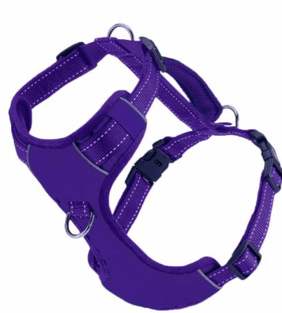 Baydog Chesapeake Harness Purple Rain Small