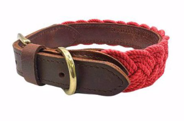 BayDog Clifford Red Seaside Collar SM