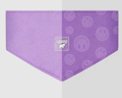 Canada Pooch Cooling Bandana Purple Smiley LG