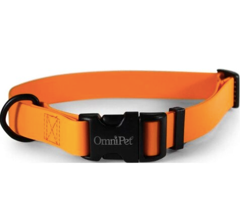 Carnival Orange Dog Collar 3/4 x 14 x 20"