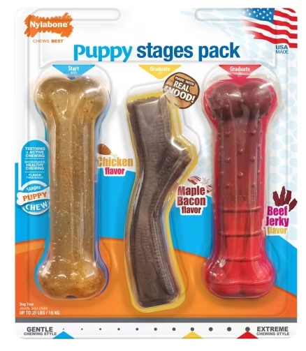 Nylabone Stages Triple Pack Assorted Regular