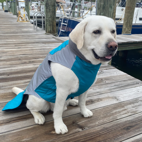 BayDog Turquoise Glacier Bay Large