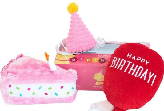 Zippy Paws Birthday Girl Box MD