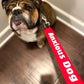 Leash Sleeve LG "Do Not Pet"