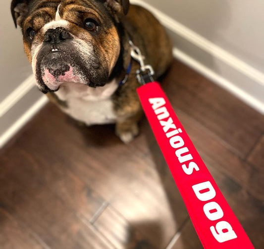 Leash Sleeve LG "Little Monster"