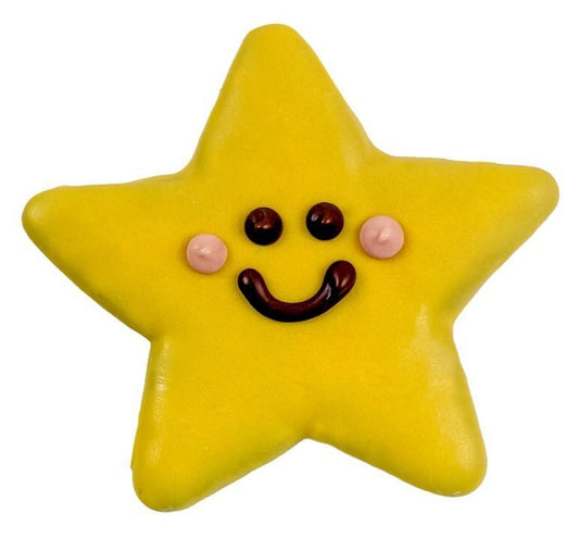 Bosco & Roxys Summer Starfish