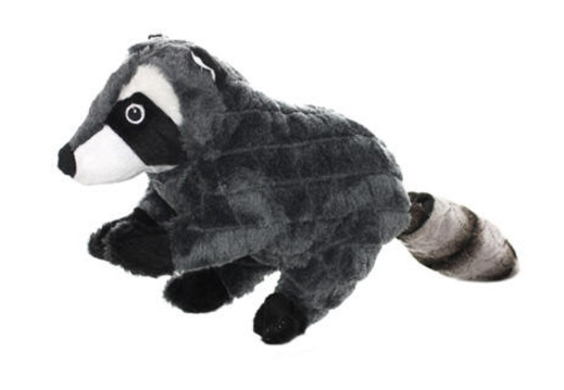 Mighty Nature Racoon