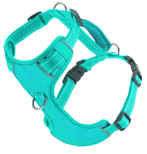 BayDog Harness Chesapeake Sea Foam LG