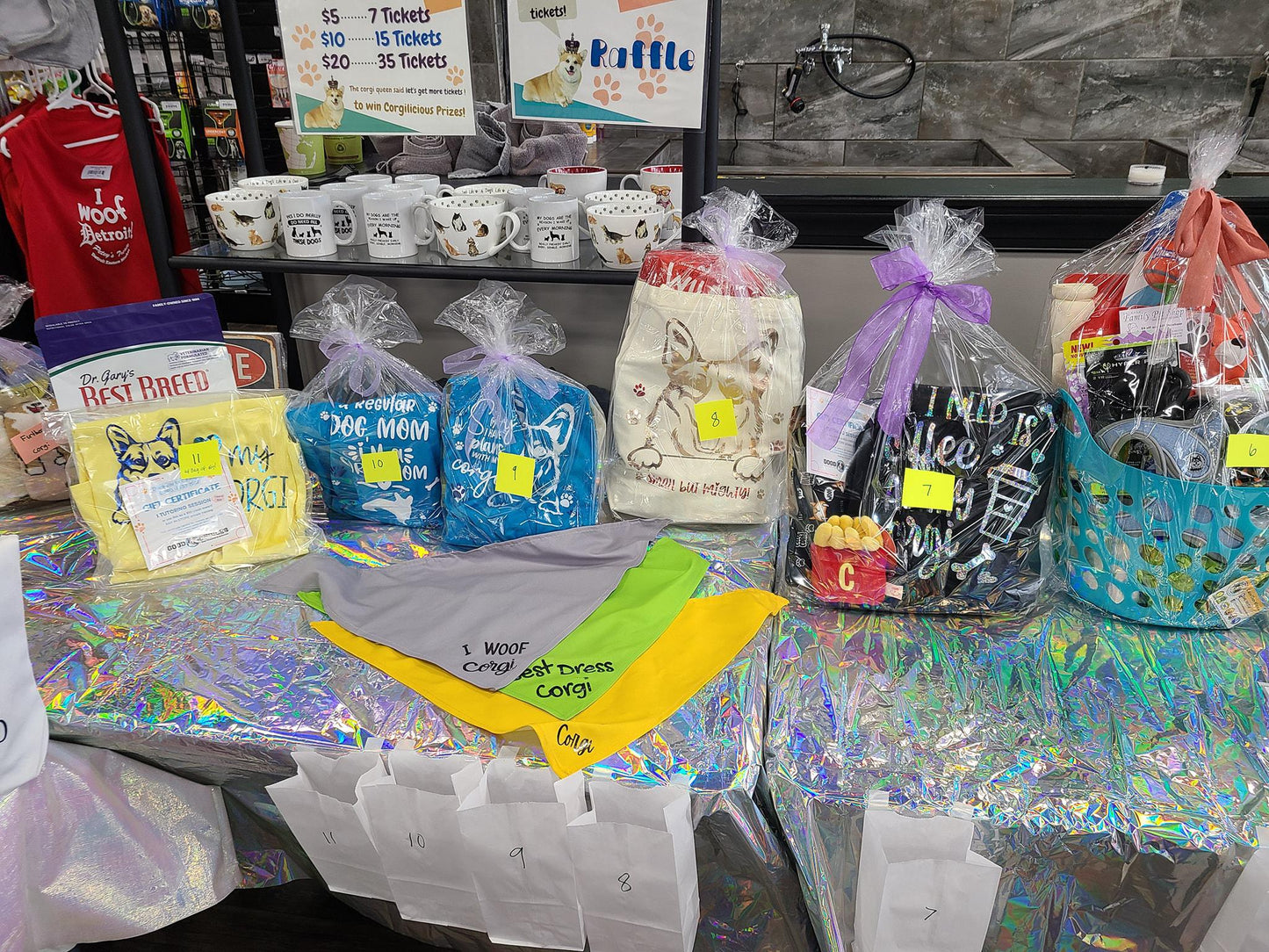 Christmas/Winter 2025 Photo Shoot