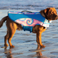 Canada Pooch Wave Rider Life Vest - Tie Dye XLG