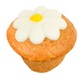 Bosco & Roxys Cupcake Daisy