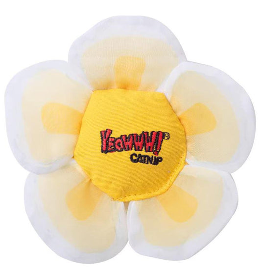 Yeowww! Daisy's Flower Tops White Catnip