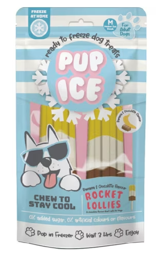 Pup Ice Rocket Lollies Banana Chocolate