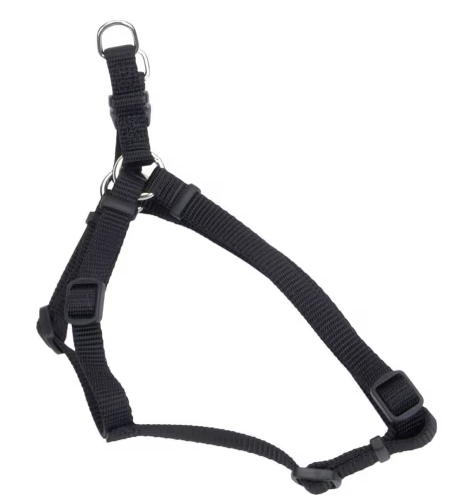 Coastal 5/8" Adj Harness Black 16"-24"