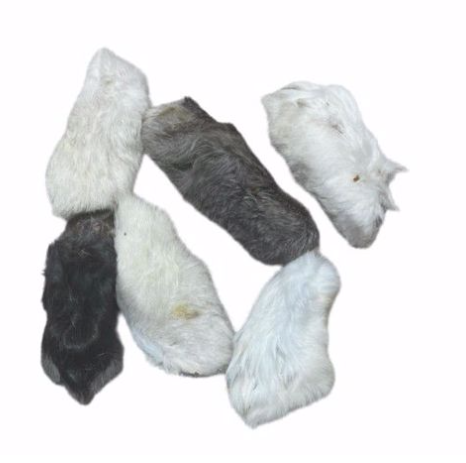 Great Lakes Rabbit Feet w/ Hair Med