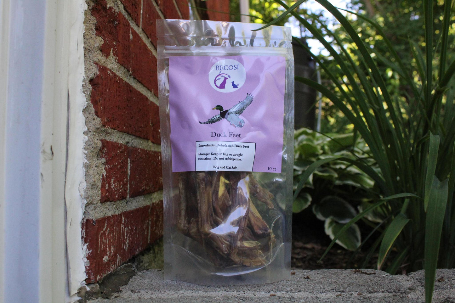 Becosi Dehydrated Duck Feet 10 ct