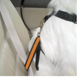 Kurgo Seat Belt Tether Carabinar