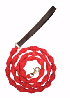 BayDog Clifford Red Seaside Leash 6ft