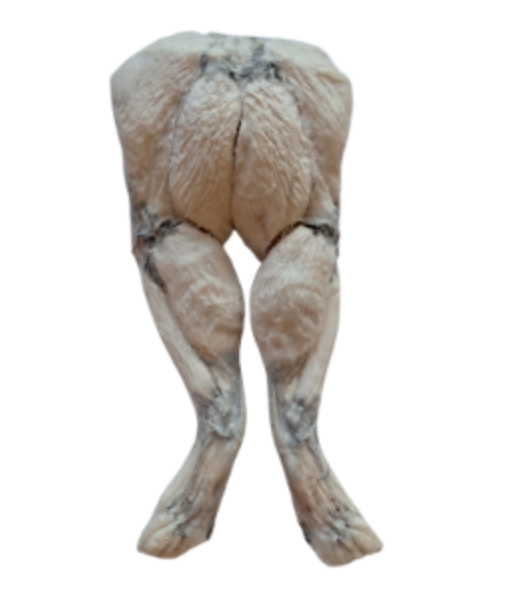 Bones & Co Dog Grain Free Freeze-Dried Frog Legs