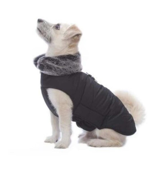 Dog Gone Smart Meteor Tamarack Jacket Black 20"