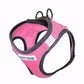 Baydog Large Pink Lemonade Liberty Bay Harness