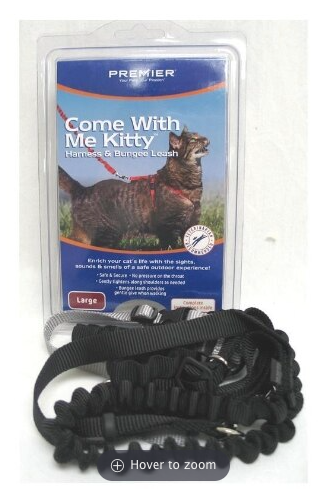 Come With Me Kitty Cat Harness & Bungee Leash - Blk