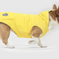 Canada Pooch Torrential Tracker - Yellow 12