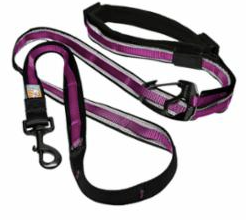 Kurgo Quantum Leash Violet