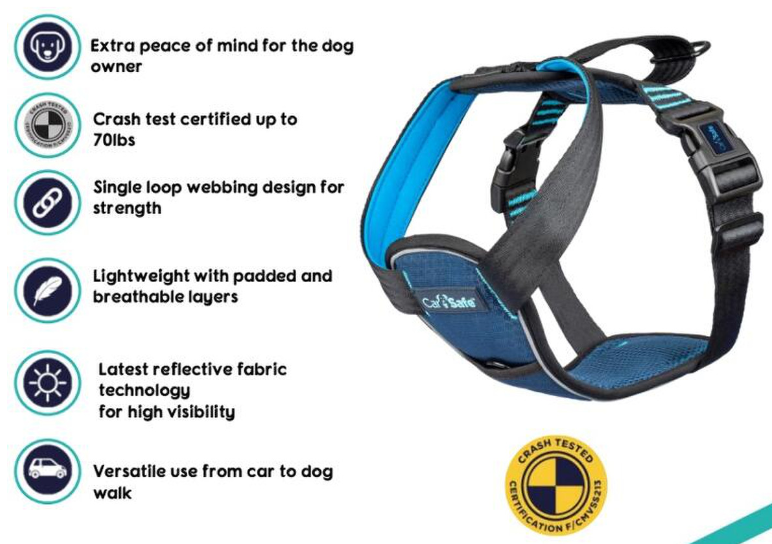 Carsafe Travel Harness MD Blue