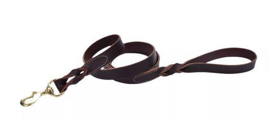 Circle T Latigo Leather Twist Dog Leash 6'