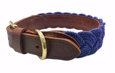 BayDog Navy Blue Seaside Collar MD