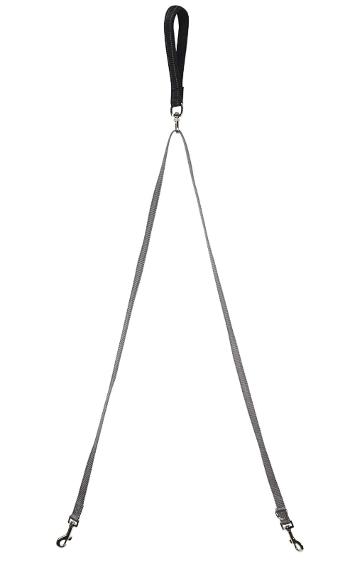 Pet Safe Two Point Control Leash