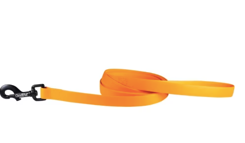 Carnival Orange 3/4 Dog Leash 6ft