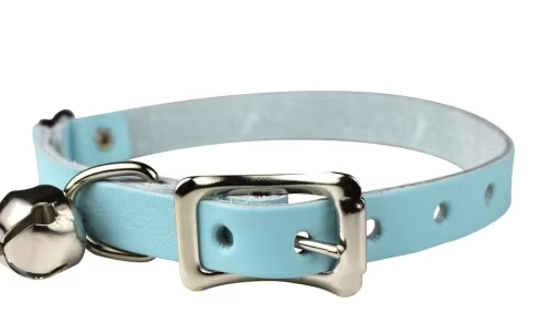 Signature Leather Safety Stretch Collar - Light Blue