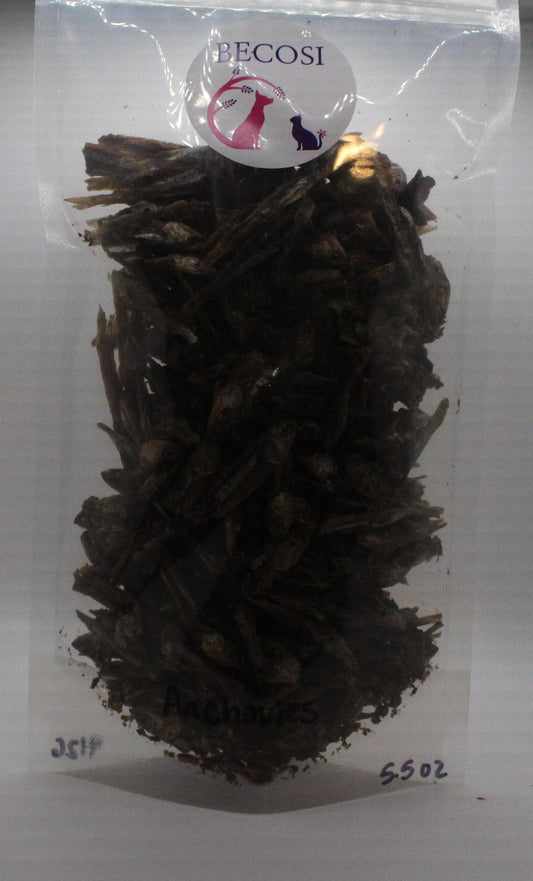 Becosi Anchovies 6 oz