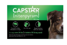 Pet IQ Capstar Flea Dog 25 lb and up 6 tablets