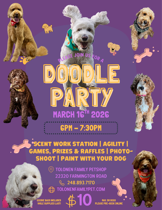 Doodle Party