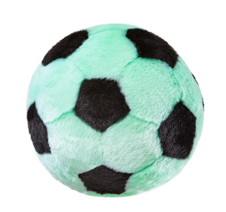 F&T Squeakerless Soccer Ball