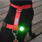 BAYDOG LED DOG FIREFLY SAFETY LIGHT