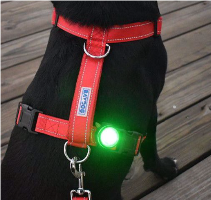BAYDOG LED DOG FIREFLY SAFETY LIGHT