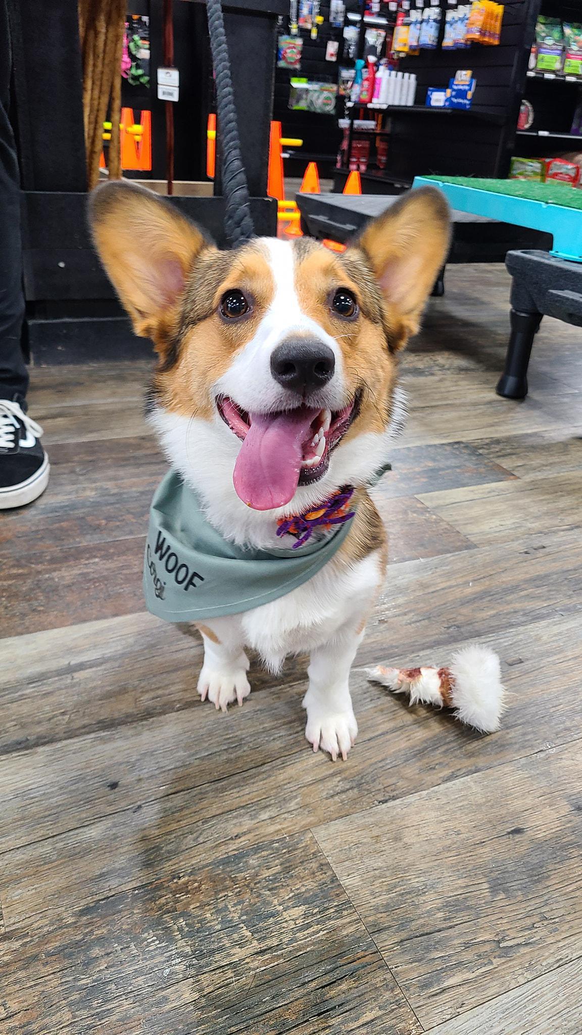 Fall 2025 Photo Shoot