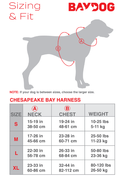 BayDog Harness Michigan State LG