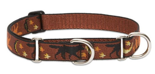 Lupine 1" Martingale Shadow Hunter 19"-27"