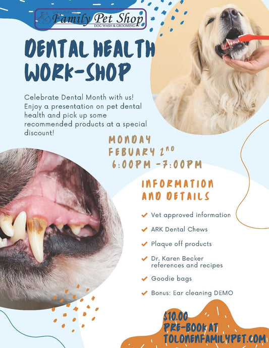Doggy Dental Workshop