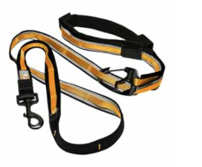 Kurgo Quantum Leash Black