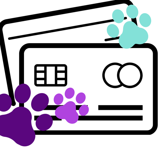 Credit Card Processing Fee Fee