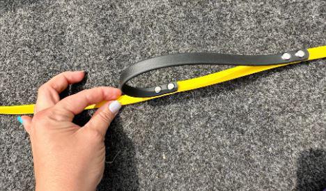 Bacon Bits Hands Free Lead - Motor City Kitty Blue